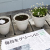 Giấy báo Mainichi Shimbunsha sẽ tự đâm chồi nảy lộc khi gặp nước
